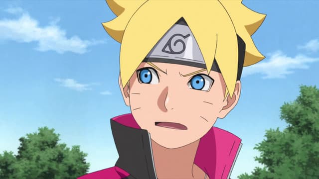 BORUTO: NARUTO NEXT GENERATIONS, Stray Dog