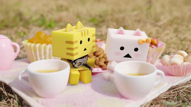 Nyanbo!, Evening Picnic