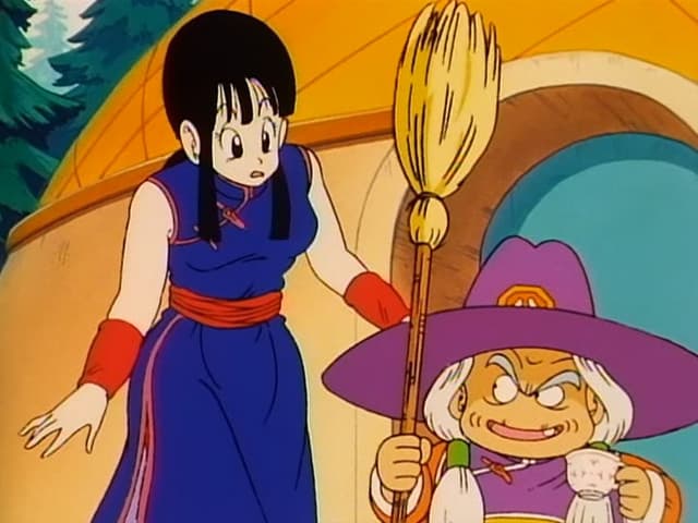Dragon Ball, Outrageous Octagon