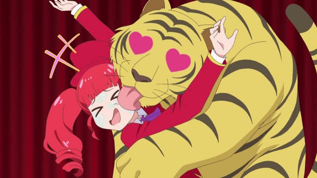 Kiratto Pri☆Chan, Film a Cat Video? We Tried It!