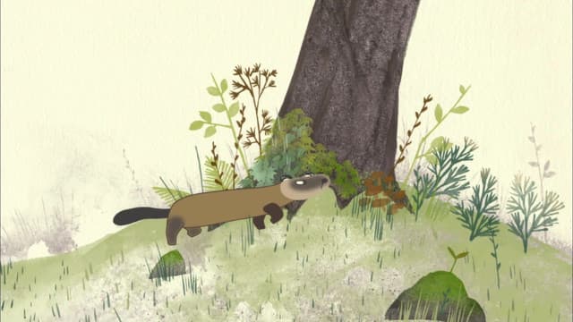 Furusato Saisei: Nippon no Mukashi Banashi, The Weasel and the Rat / Kotaro and the Dragon / The Thunder God and the Girl