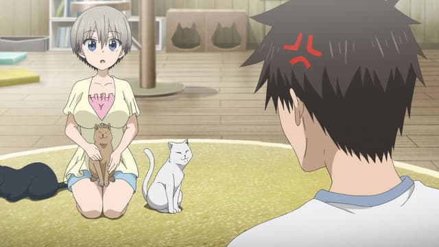Uzaki-chan wa Asobitai!, I Want to Hang Out at a Cat Café and a Pub!
