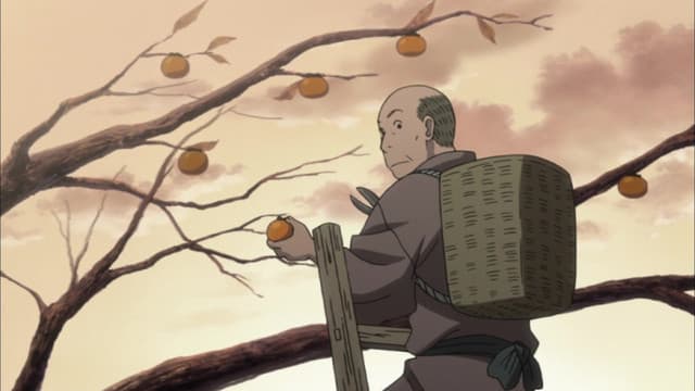 Mushishi, Eye of Fortune, Eye of Misfortune