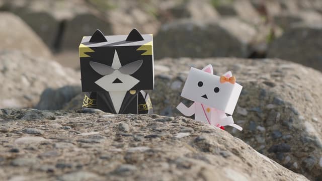 Nyanbo!, A Day in Kuro's Life