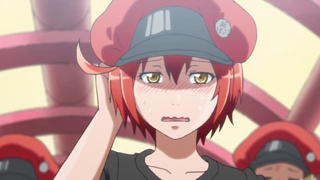 Hataraku Saibou, Heat Stroke