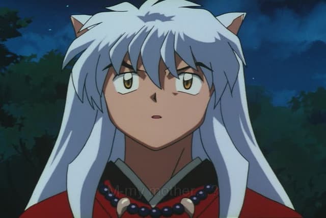 Inuyasha, Aristocratic Assassin, Sesshomaru