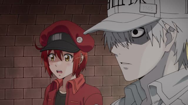 Hataraku Saibou, Pneumococcus