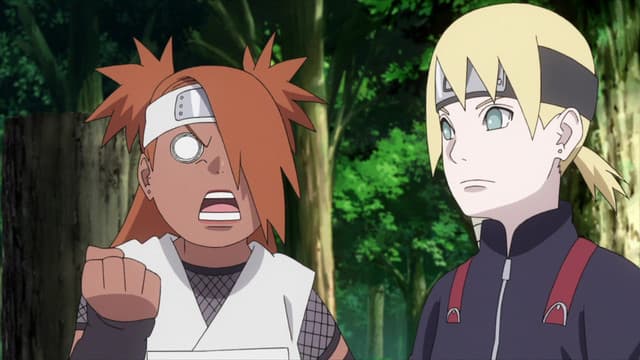 BORUTO: NARUTO NEXT GENERATIONS, Himawari's Birthday