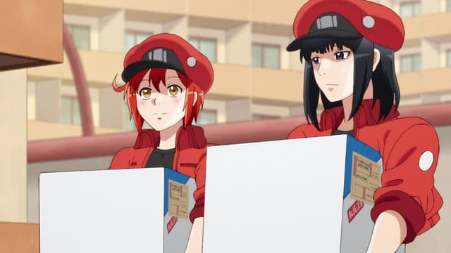 Hataraku Saibou, Hemorrhagic Shock Part 1