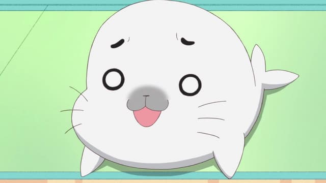 Shounen Ashibe: GO! GO! Goma-chan 4, Pay Attention to Goma-chan