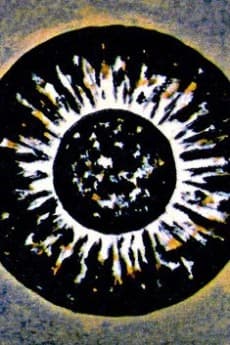 Metamorphose Works No.1